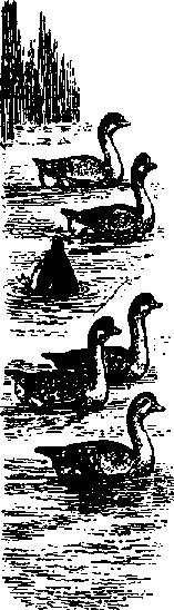 Что я видел (сборник) (с илл.) i_404.png