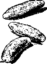 Что я видел (сборник) (с илл.) i_407.png