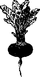 Что я видел (сборник) (с илл.) i_408.png