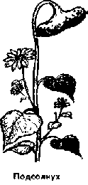 Что я видел (сборник) (с илл.) i_409.png