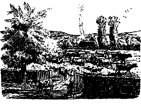 Что я видел (сборник) (с илл.) i_410.png
