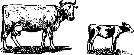 Что я видел (сборник) (с илл.) i_411.png