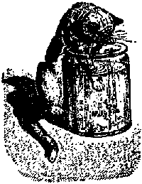 Что я видел (сборник) (с илл.) i_412.png