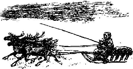 Что я видел (сборник) (с илл.) i_010.png