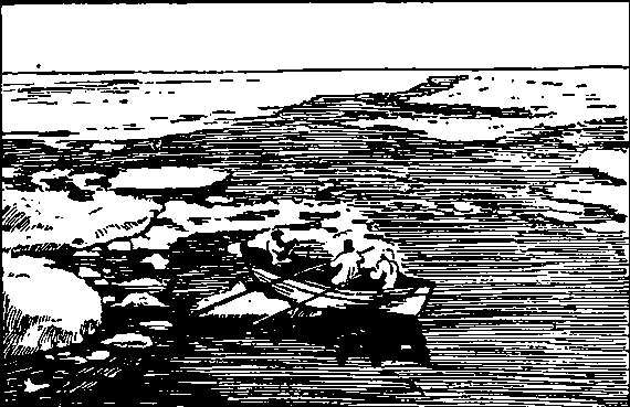 Тундра и ее богатства i_016.png