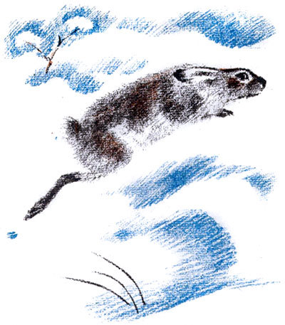 Снежная книга i_004.jpg