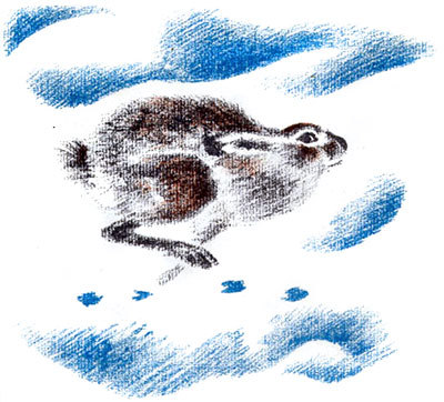 Снежная книга i_008.jpg