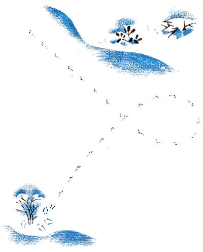 Снежная книга i_010.jpg