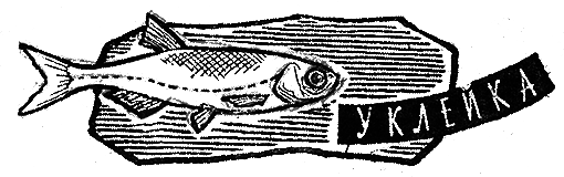 Рыбьи дорожки i_001.png