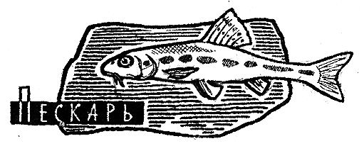 Рыбьи дорожки i_002.png