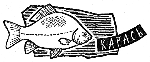 Рыбьи дорожки i_021.png
