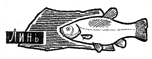 Рыбьи дорожки i_022.png