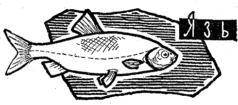 Рыбьи дорожки i_023.png