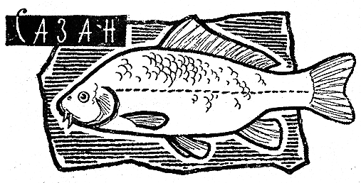 Рыбьи дорожки i_030.png