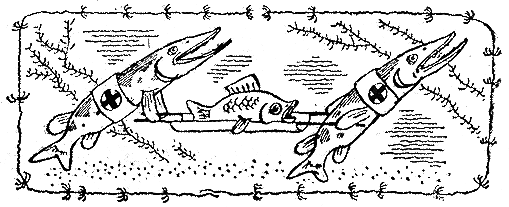 Рыбьи дорожки i_036.png