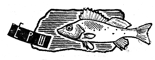 Рыбьи дорожки i_005.png