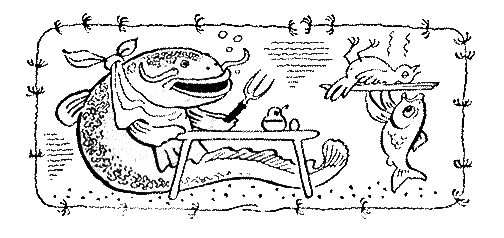 Рыбьи дорожки i_039.png