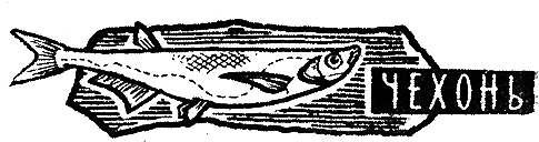 Рыбьи дорожки i_010.png
