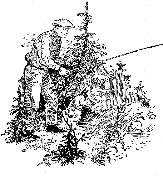 Рыбьи дорожки i_012.png