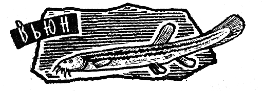 Рыбьи дорожки i_013.png