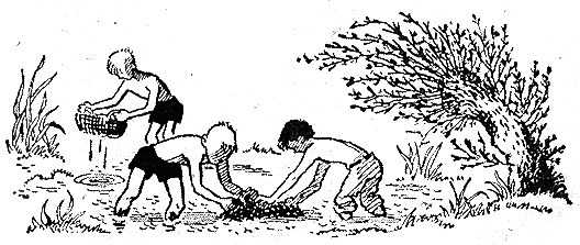 Рыбьи дорожки i_015.png