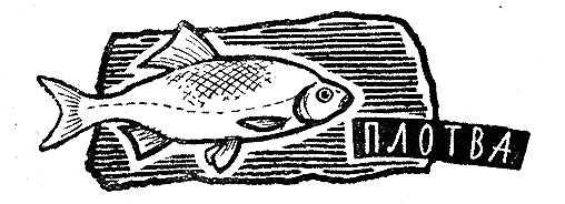 Рыбьи дорожки i_016.png