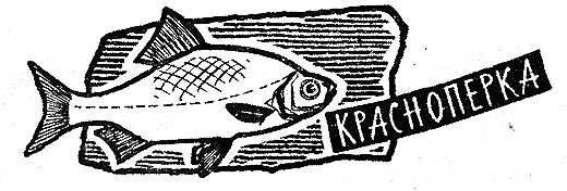 Рыбьи дорожки i_017.png