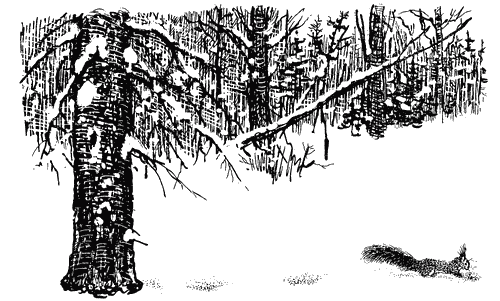 Трясогузкины письма i_005.png