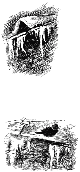 Трясогузкины письма i_007.png