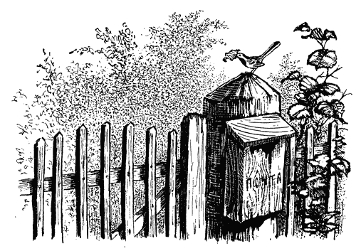 Трясогузкины письма i_012.png