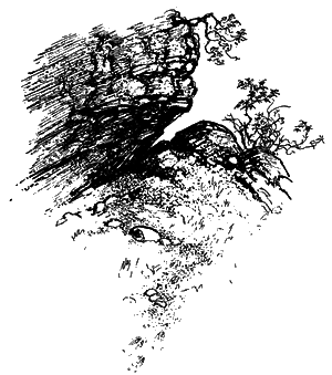 Трясогузкины письма i_020.png