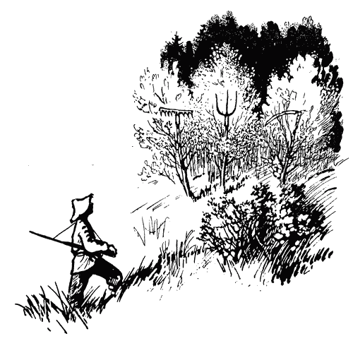 Трясогузкины письма i_039.png