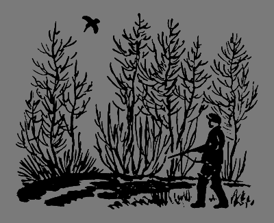 В лесах счастливой охоты i_079.png