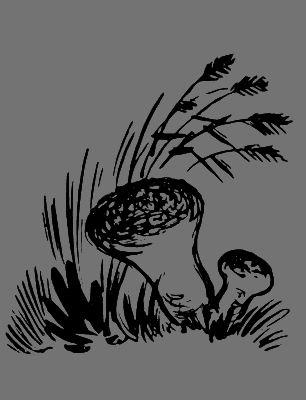 В лесах счастливой охоты i_119.png
