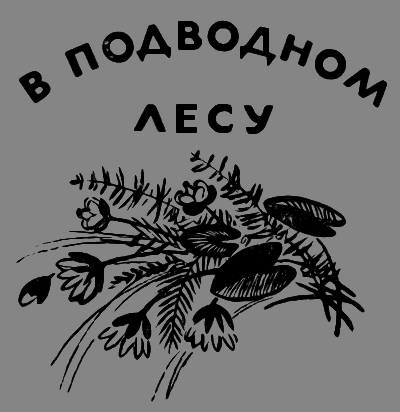 В лесах счастливой охоты i_138.png