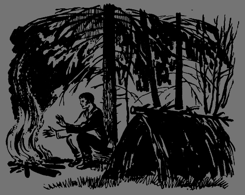 В лесах счастливой охоты i_165.png