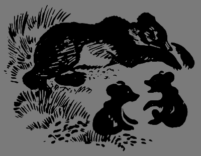 В лесах счастливой охоты i_017.png
