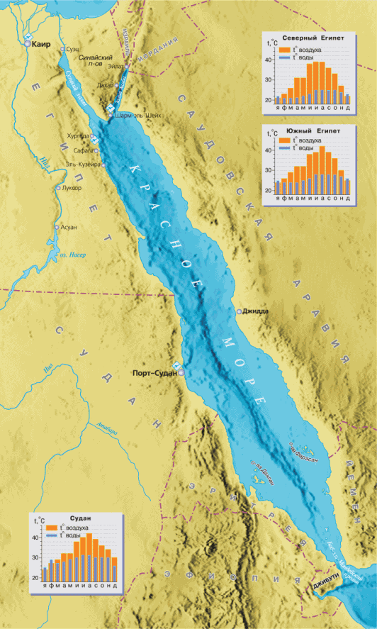 Дайвинг. Красное море i_004.png