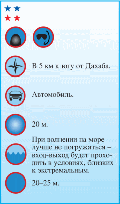 Дайвинг. Красное море i_036.png
