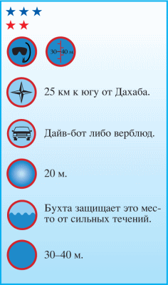 Дайвинг. Красное море i_040.png