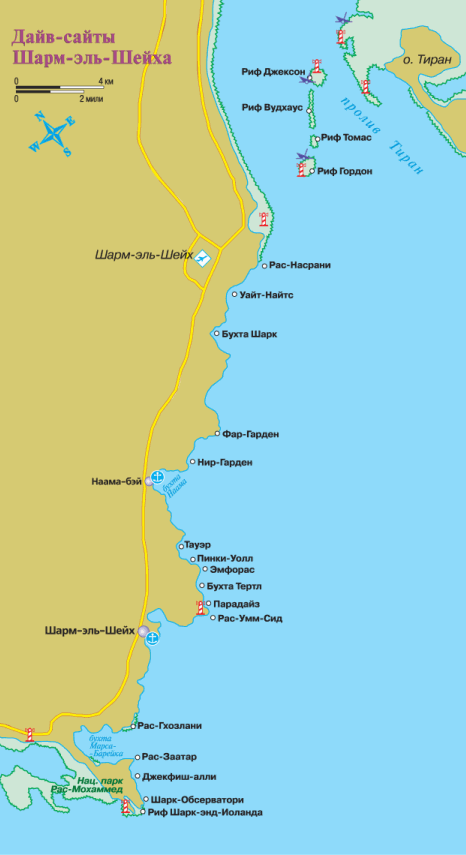 Дайвинг. Красное море i_044.png