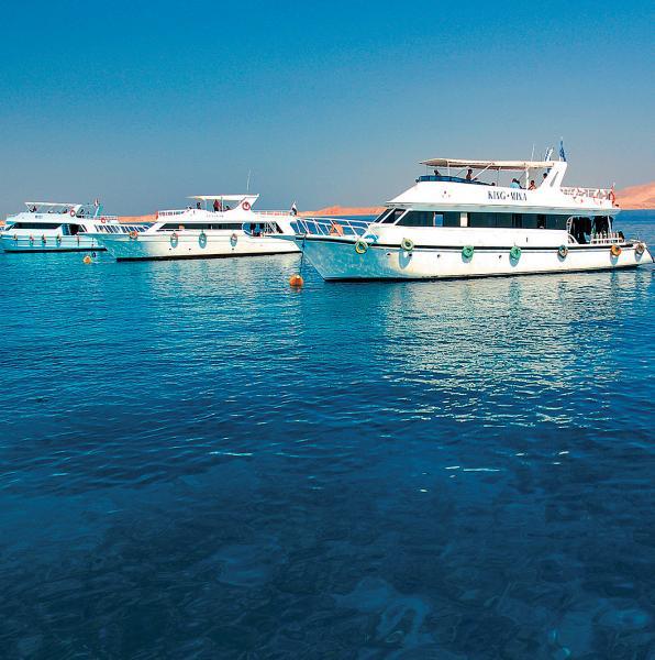 Дайвинг. Красное море i_045.jpg