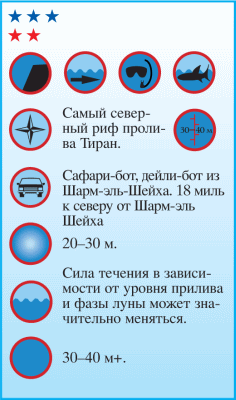 Дайвинг. Красное море i_046.png