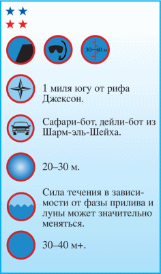 Дайвинг. Красное море i_048.png