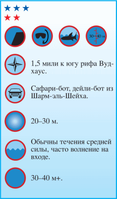 Дайвинг. Красное море i_050.png