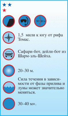 Дайвинг. Красное море i_052.png