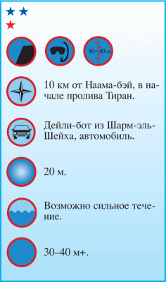 Дайвинг. Красное море i_055.png