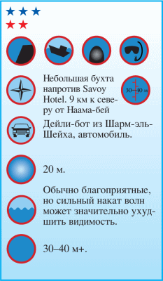 Дайвинг. Красное море i_057.png