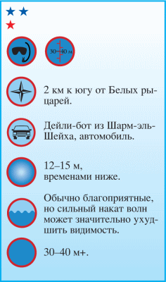 Дайвинг. Красное море i_060.png