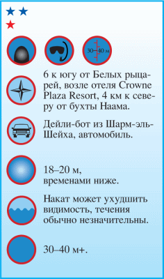 Дайвинг. Красное море i_061.png